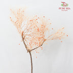 Dry Dream Grass Natural