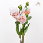 Dahlia Orange - (Per Bundle)