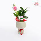 CNY Potted Plant Arrangement 2025#14