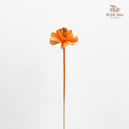 Dry Small Pomegranate Flower - Light Orange