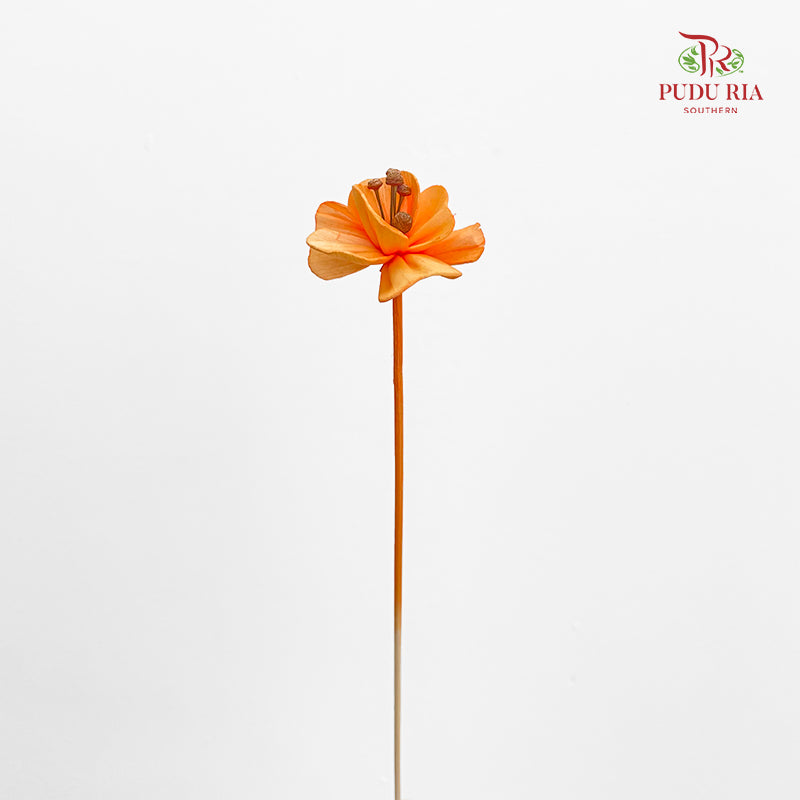 Dry Small Pomegranate Flower - Light Orange