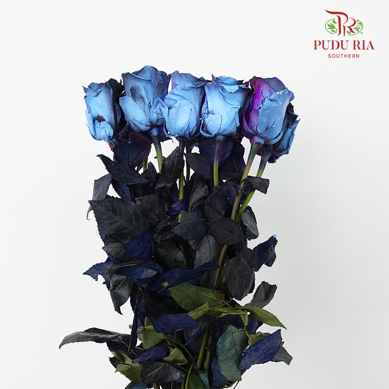 Rose Mondial Dyed Starry Galaxy (8-10 Stems) - Pudu Ria Florist Southern