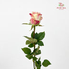 Rose Her Majesty - (8-10 Stems)