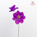 Dry New Wax Flower - Purple