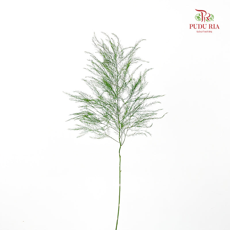 Cocktail Leaf - (Per Bundle)