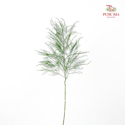 Cocktail Leaf - (Per Bundle)