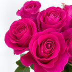 Rose Pink Floyd - (8-10 Stems)