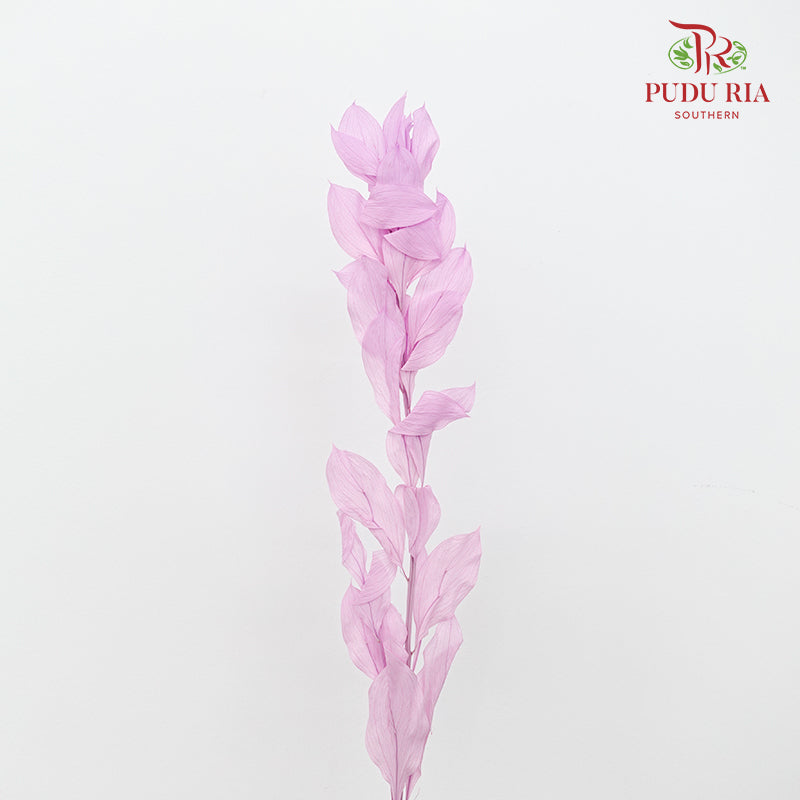Dry Orange Leaf - Purple