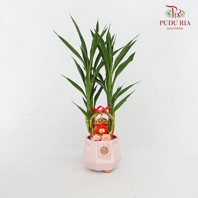 CNY Potted Plant Arrangement 2024#12