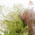 Cotinus Coggygria - Pudu Ria Florist Southern
