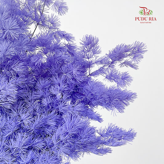 Preservative Asparagus Fern Light Purple