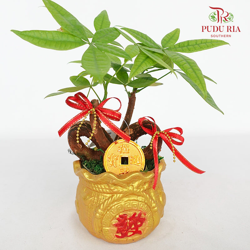 CNY Potted Plant Arrangement 2024#9