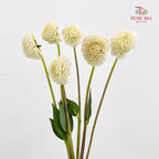 Dahlia Cream - (Per Bundle)