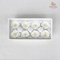8 Bloom Preservative Rose - White