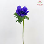 Anemone Hupehensis Purple 银莲花 - (Per Bundle)
