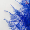 Preservative Asparagus Fern - Blue