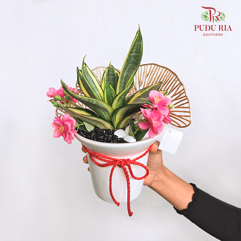 CNY Potted Plant Arrangement 2024#44