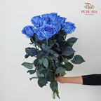 Rose Mondial Dyed Light Blue Tinted - (8-10 Stems)