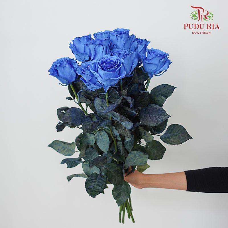 Rose Mondial Dyed Light Blue Tinted - (8-10 Stems)