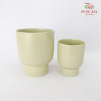 Asst Pot Big - Green