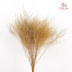 Preservative Luxuan Grass Light Brown