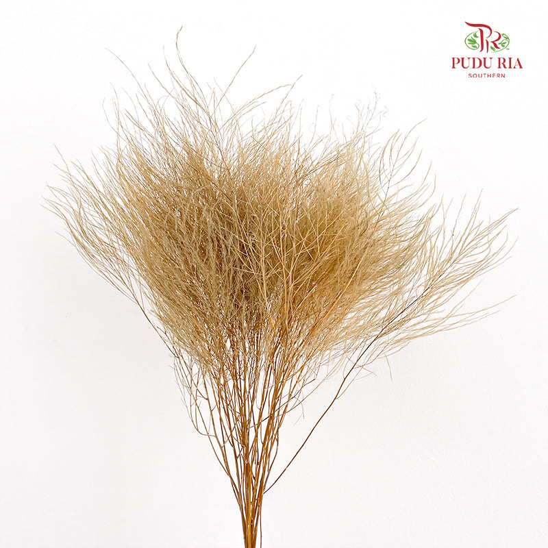 Preservative Luxuan Grass Light Brown