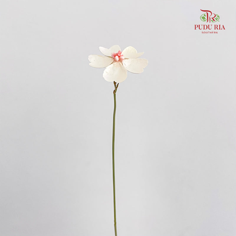 Dry Violet Love Shape - Center Pink