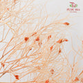 Dry Dream Grass Natural