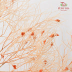 Dry Dream Grass Natural