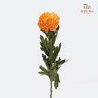 Peony Chrysanthemum Dyed Orange 牡丹菊 - (5 Stems)