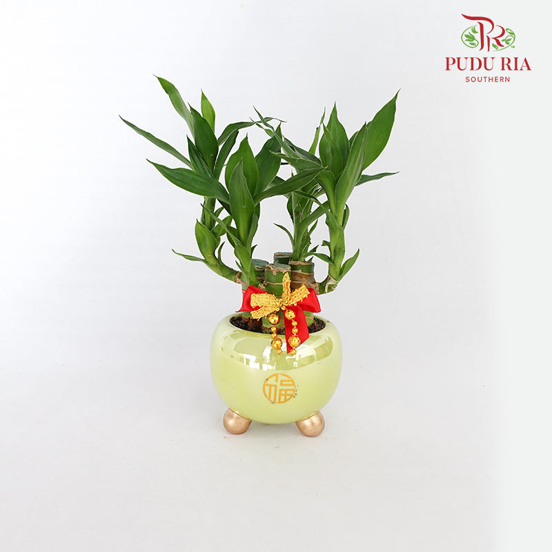 CNY Potted Plant Arrangement 2024#10