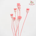Dry Corn Poppy Fruit - Pink