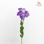 Eustoma Wave Purple - (12-15 Stems)