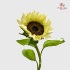 Sunflowers Yellow 向日葵 - (5 Stems)
