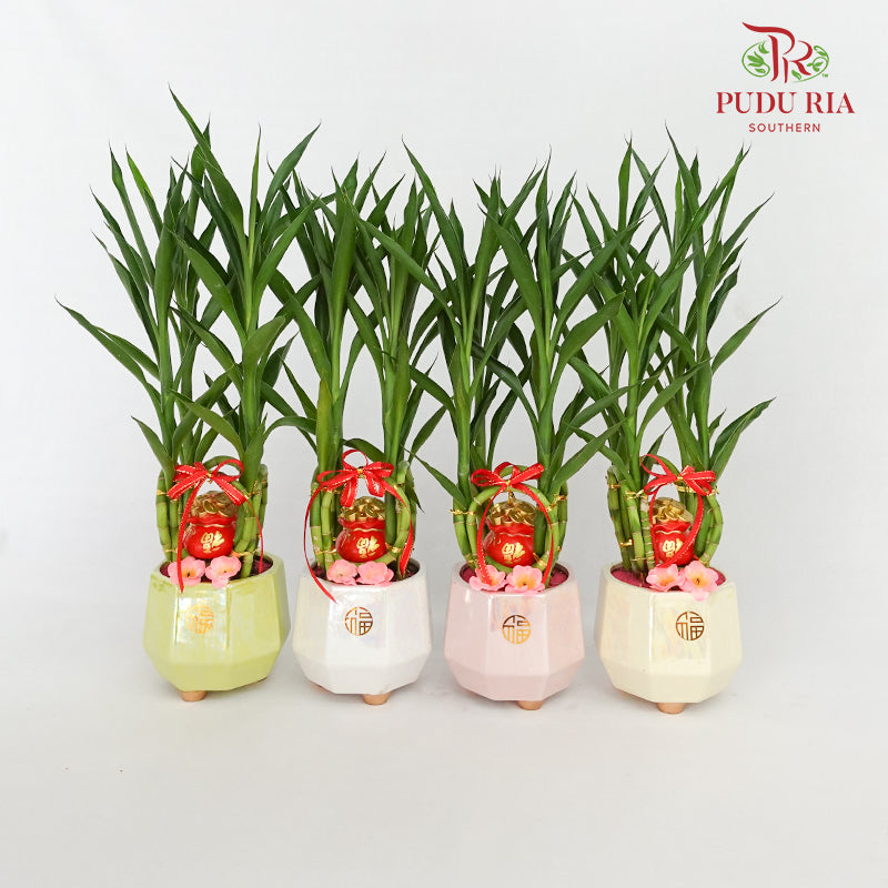 CNY Potted Plant Arrangement 2024#12