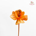 Dry Small Pomegranate Flower - Light Orange