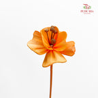 Dry Small Pomegranate Flower - Light Orange