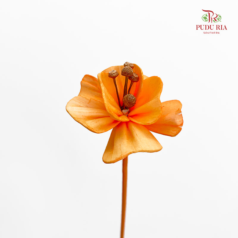 Dry Small Pomegranate Flower - Light Orange