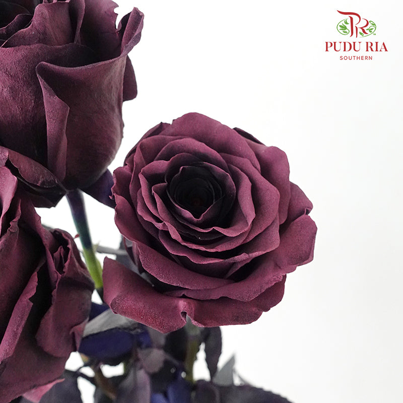 Rose Mondial Dyed Prune Amethyst (8-10 Stems) - Pudu Ria Florist Southern