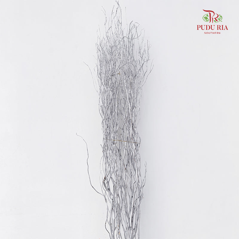 龙柳 Salix Grey - 10 Stems