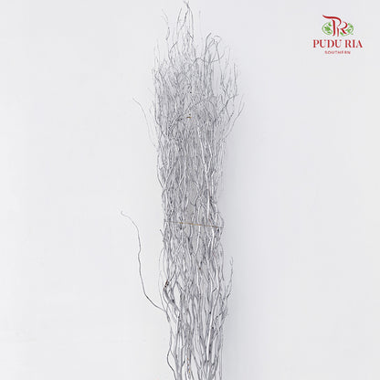 龙柳 Salix Grey - 10 Stems