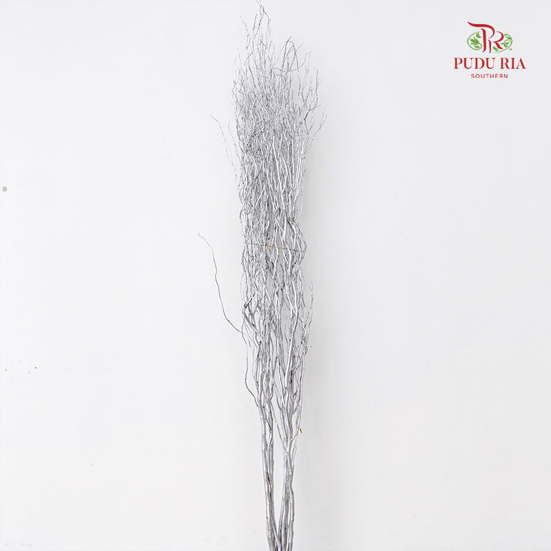 龙柳 Salix Grey - 10 Stems