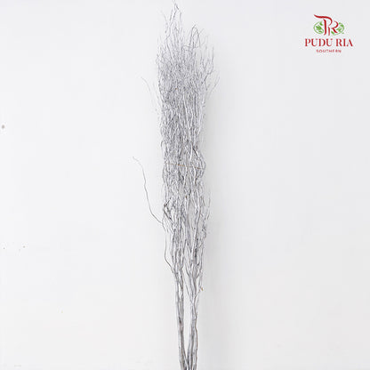 龙柳 Salix Grey - 10 Stems