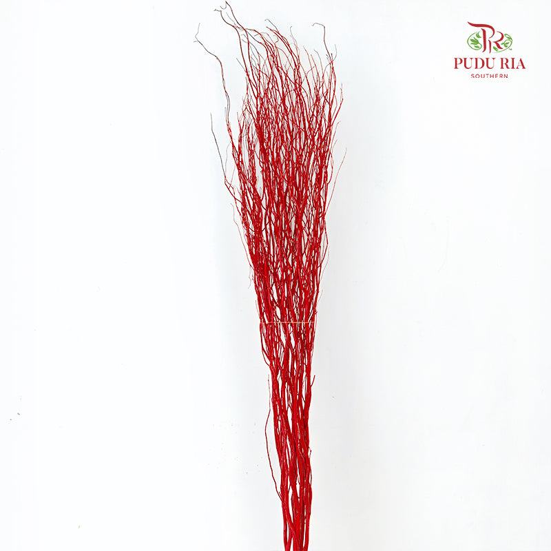 龙柳 Salix Red - 10 Stems