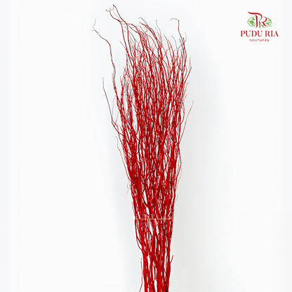 龙柳 Salix Red - 10 Stems