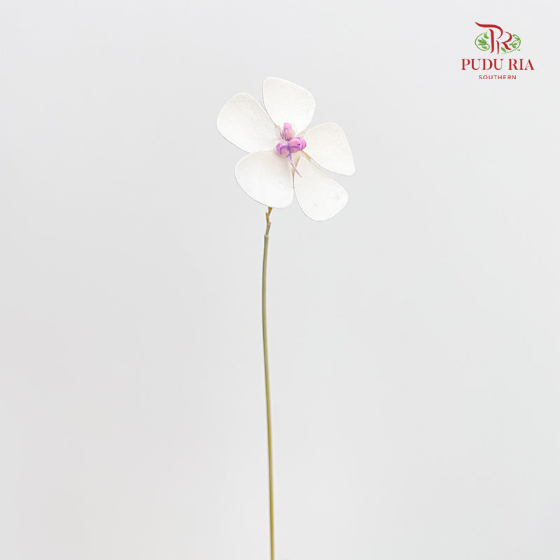 Dry Violet - White Center Magenta