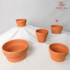 Terracota Pot Orange