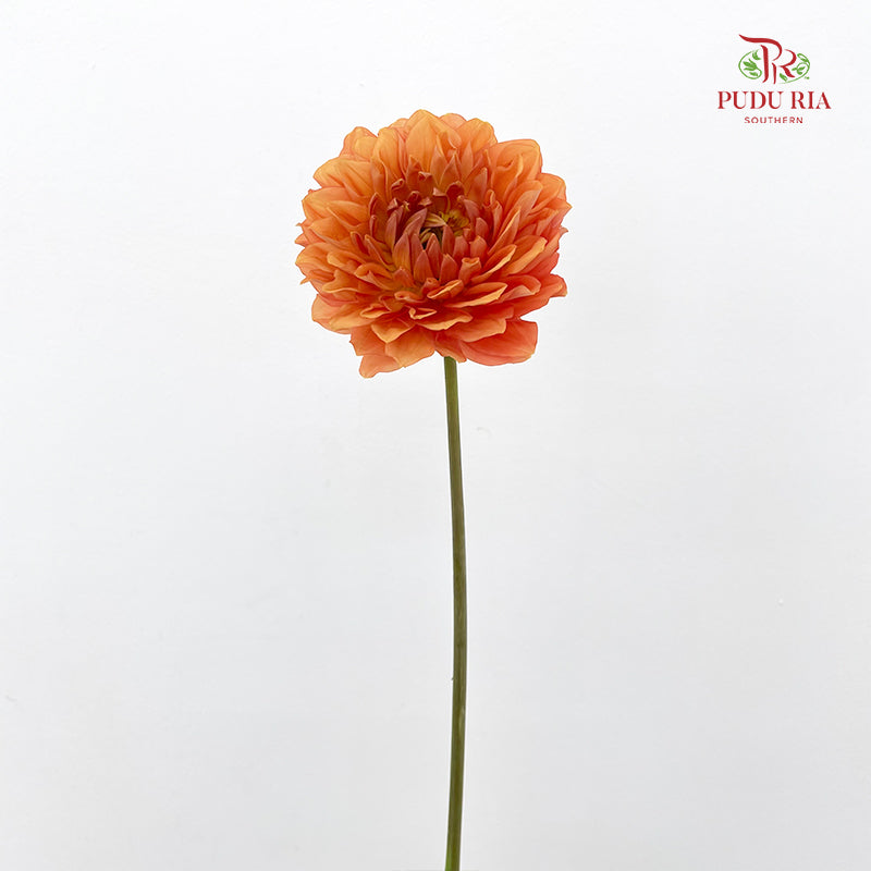 Dahlia Orange - (Per Bundle)