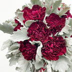 Carnation Wedding Bouquet (10 Stems)