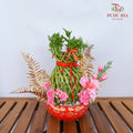 CNY Arrangement 2024#22